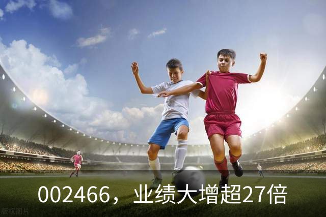 002466,业绩大增超27倍